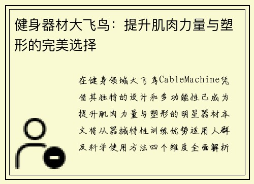 健身器材大飞鸟：提升肌肉力量与塑形的完美选择